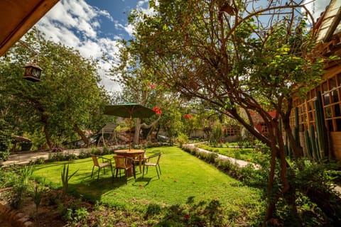 Day, Natural landscape, Garden, Garden view