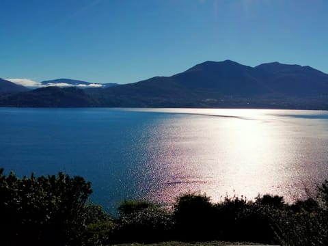 Lake view