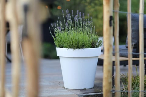 Kek huisje aan de Maas House in North Brabant (province)