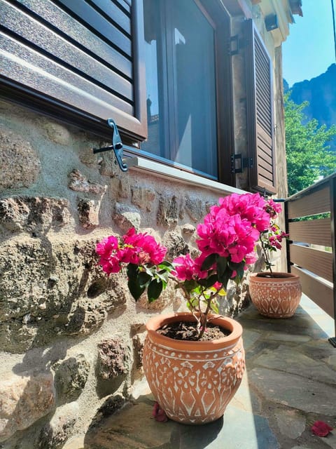 Patio, Facade/entrance