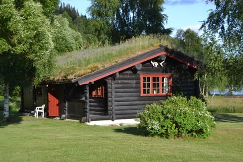Property building, Facade/entrance, Garden