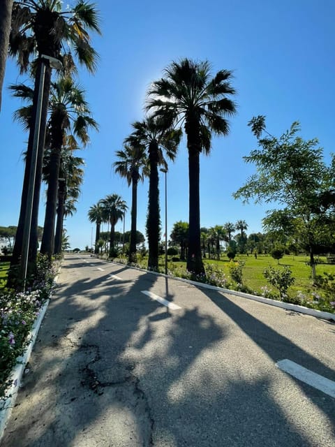 Spring, Day, Neighbourhood, Natural landscape, Beach