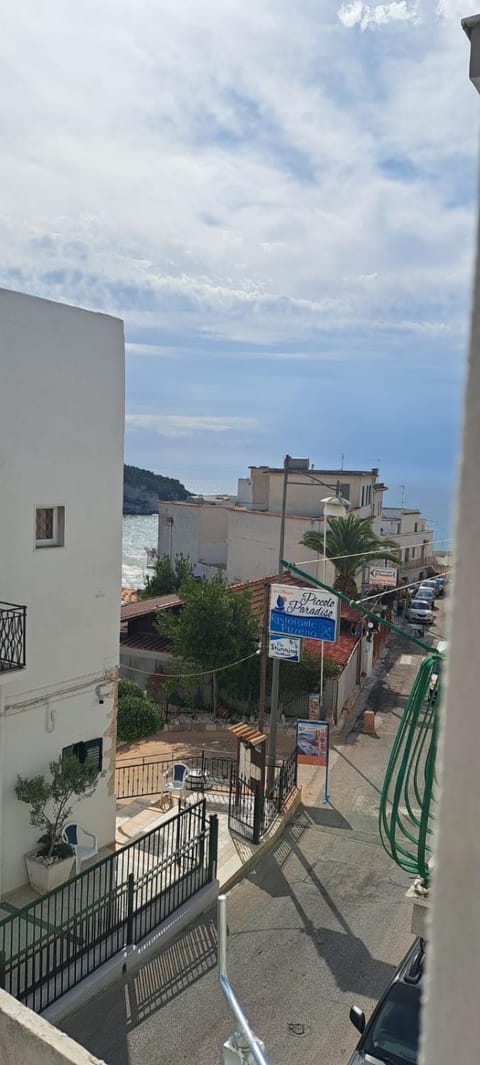 Center House Apartment in Peschici