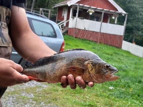 Villa Safari House in Uusimaa