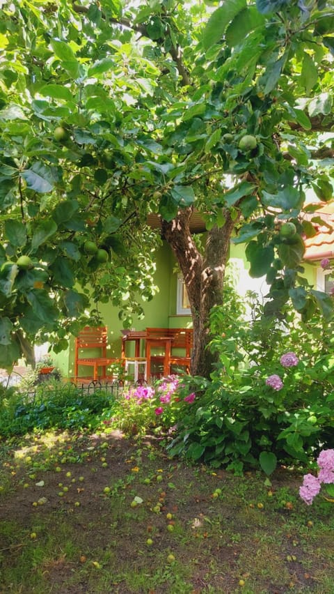 Day, Natural landscape, Garden, Garden view