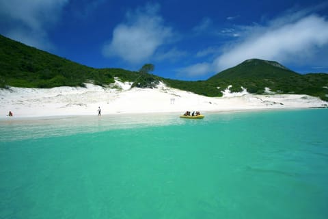 Natural landscape