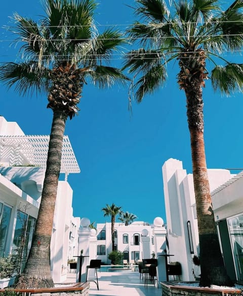 Property building, Garden, Pool view