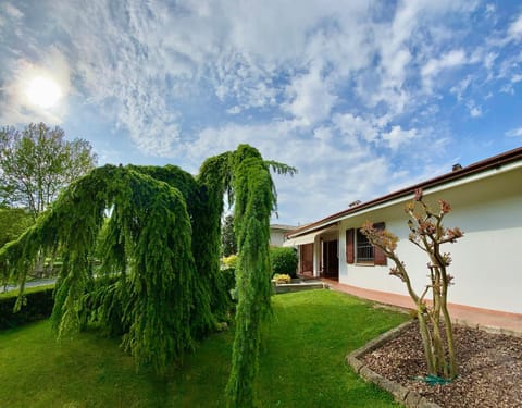 Property building, Garden, Garden view