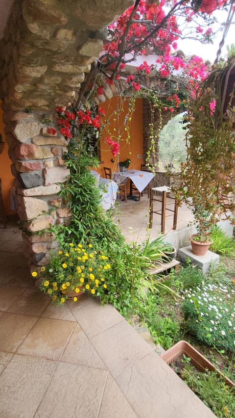 Paraiso Sardo 1 Vacation rental in Sardinia