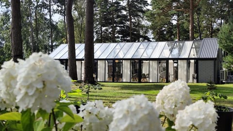 Property building, Garden, Garden view