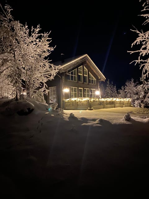 Property building, Facade/entrance, Night, Winter