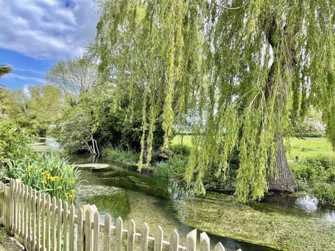 Natural landscape, Garden view, River view