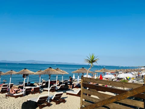 Beach, sunbed