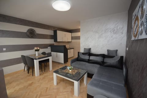 Apartman Jocić Apartment in Serbia