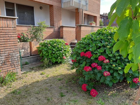Property building, Spring, Day, Garden, Garden view