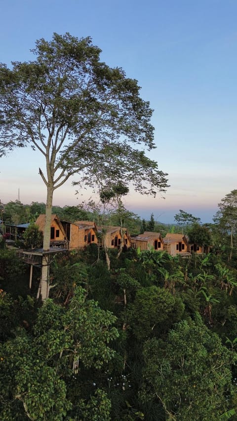 Wanagiri Campsite Nature lodge in Bali