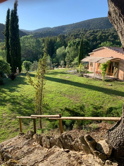 Garden, Garden view, Mountain view