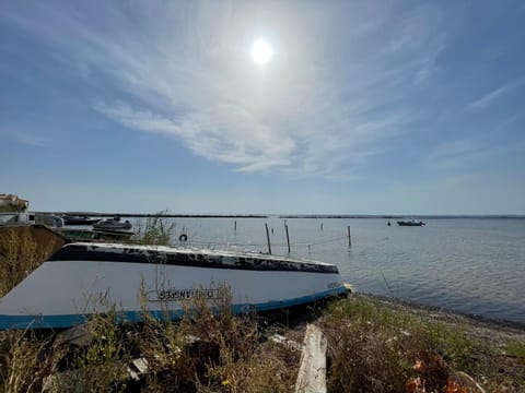Lake view