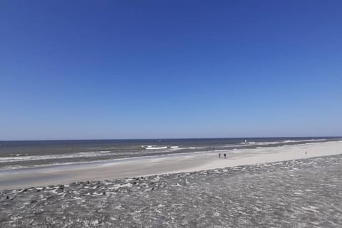 Nearby landmark, Beach, Sea view