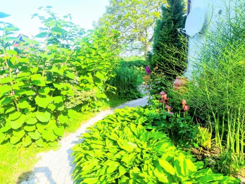 Wczasy Sandi Chłapowo Vacation rental in Wladyslawowo