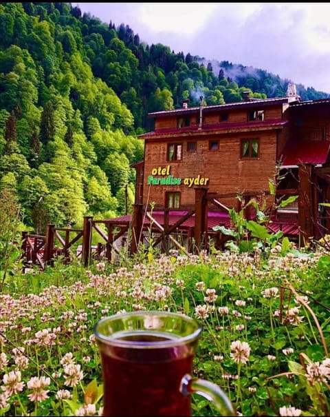 Property building, Spring, Day, Natural landscape, Garden, Garden view, Mountain view