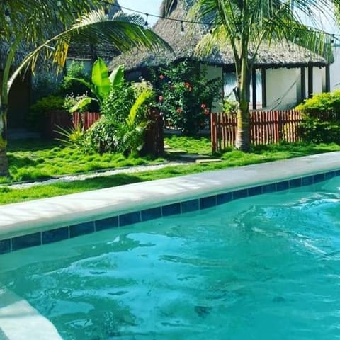 Garden, Swimming pool