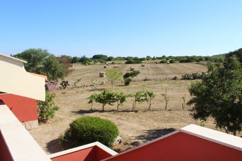 Natural landscape, Garden view