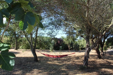 Natural landscape, Garden, Garden view