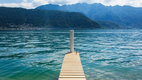 Natural landscape, Garden, Lake view