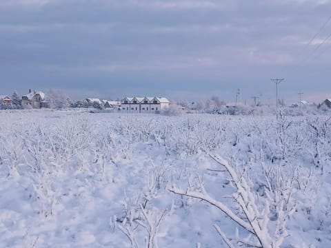 Winter, Family, Family