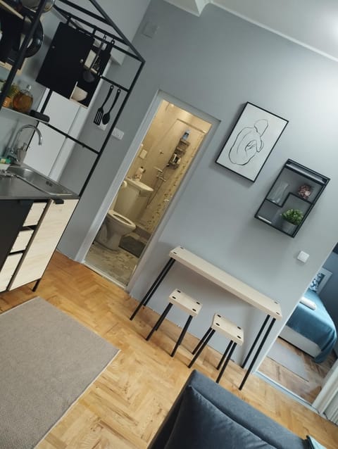 Apartman Aleksandra Apartment in Vojvodina