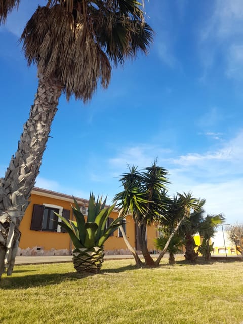 Property building, Day, Garden, Garden view
