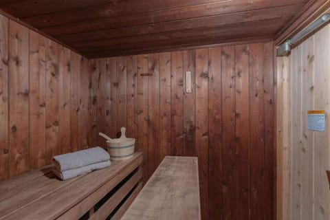 Indoor Sauna FIrePlace Garage Wifi Smart TV Apartment in Minnesota