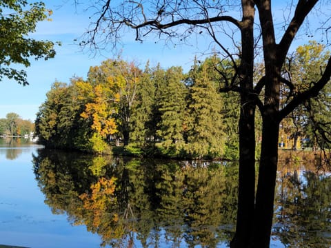 Natural landscape, Lake view