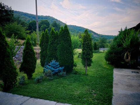 Taverna Gradetului Campground/
RV Resort in Serbia