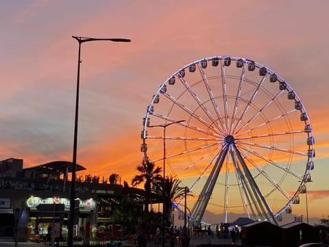 Restaurant/places to eat, Beach, Sunset