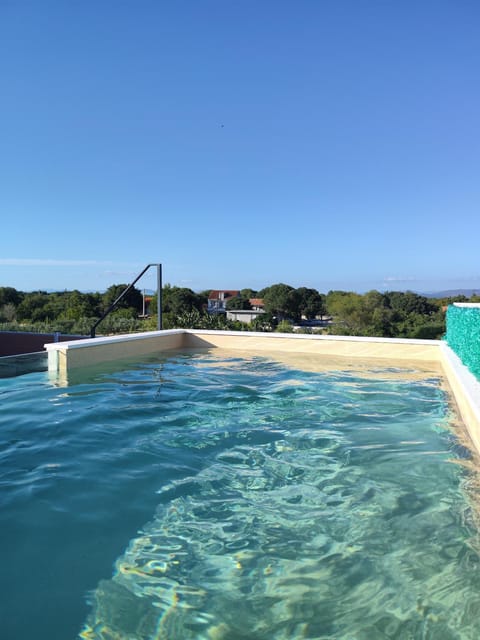 Swimming pool, Swimming pool