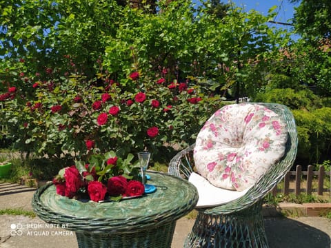 Spring, Day, Garden
