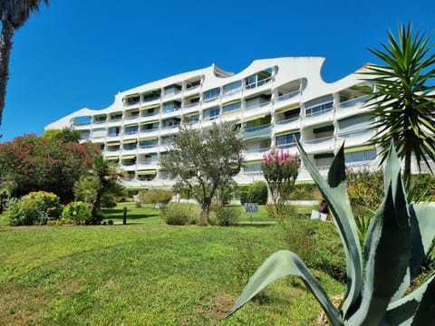 Property building, Garden view