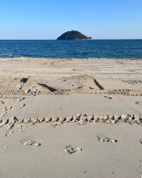 Nearby landmark, Day, Beach, Sea view