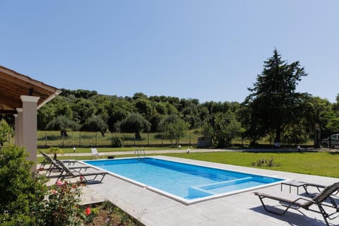 Pool view, Swimming pool
