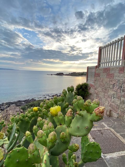 Nearby landmark, Natural landscape