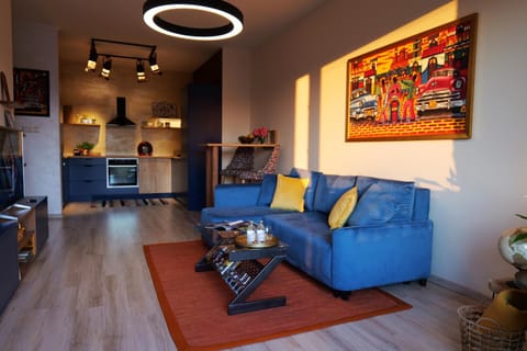 TV and multimedia, Kitchen or kitchenette, Living room, Seating area, minibar, pet friendly, stove