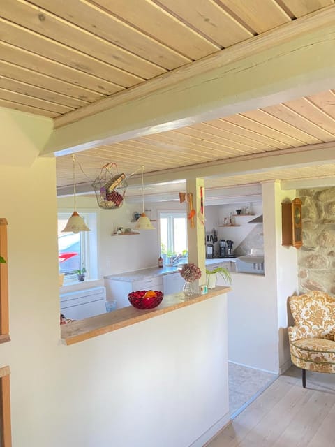 Lilleledgaard country house House in Ringkobing