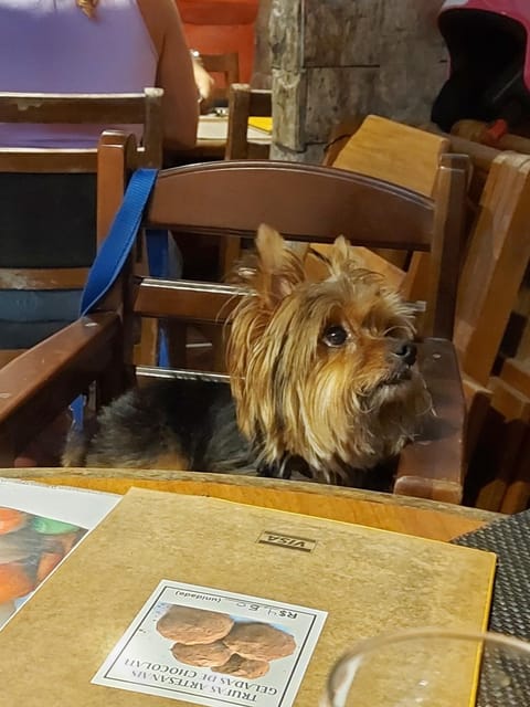 CASA DIAS CABORÊ - Espaço e Proteção à 5 min do Centro Histórico House in Paraty