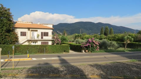 Property building, Neighbourhood