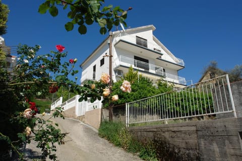 Wisteria Bed and Breakfast in Kotor Municipality