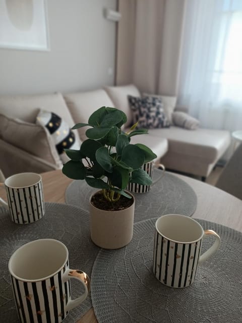 Apartament Emili VIPOO Apartment in Lithuania