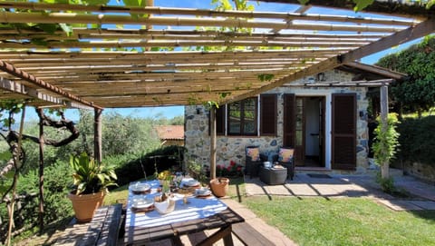 Day, Garden, Dining area
