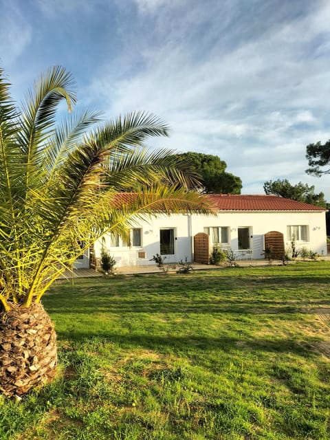 Property building, Garden, Garden view